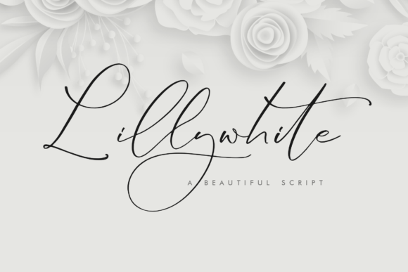 Lillywhite: A Modern Script with Timeless Luxury