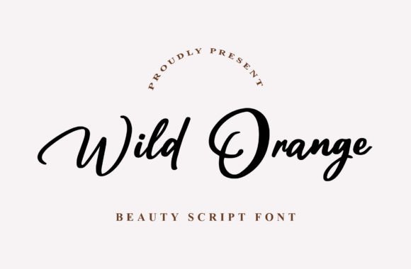 Wild Orange: An Elegant Script for Modern Designers